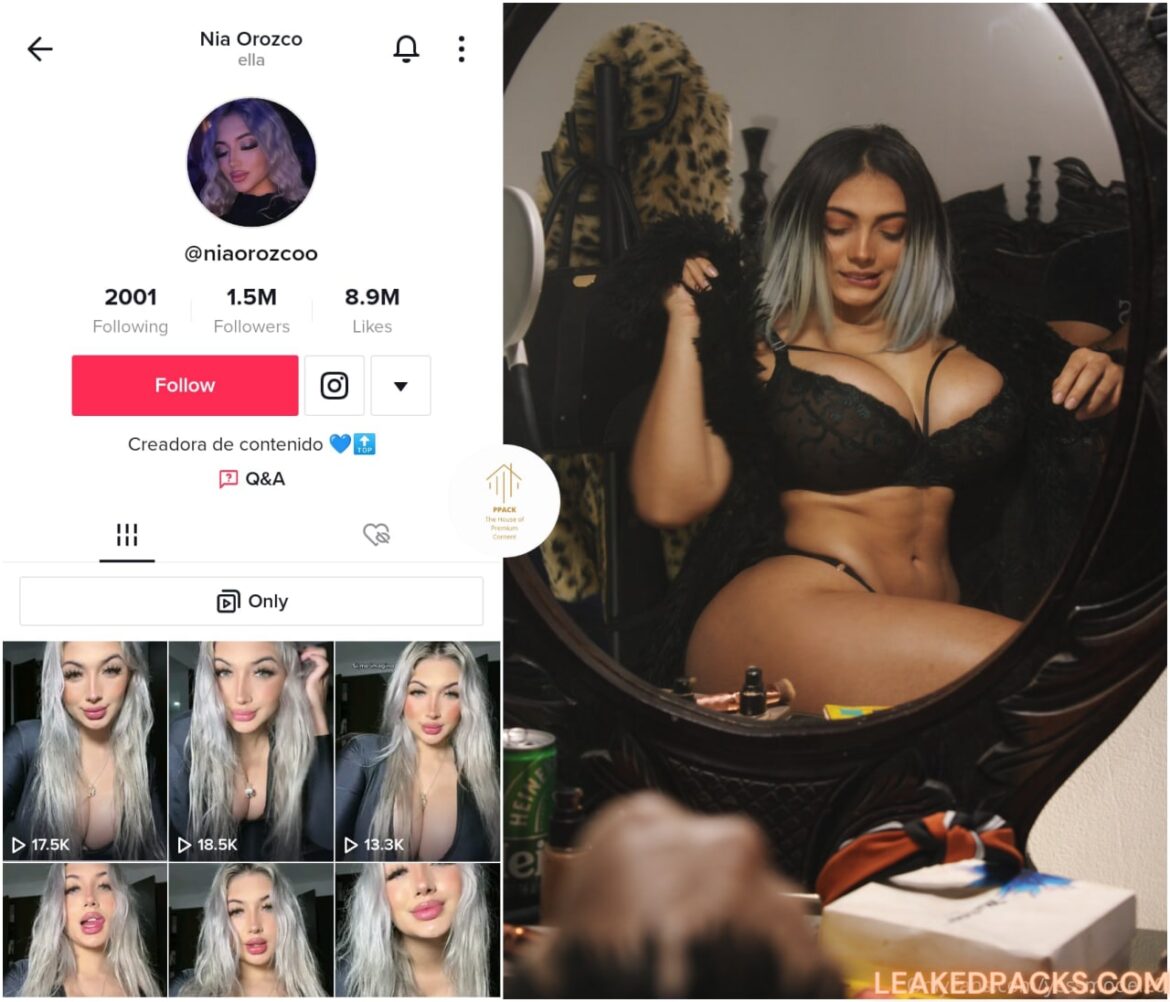 Nia-orozco-yessmodel20-Tiktok-Star-Leaked-Nudes
