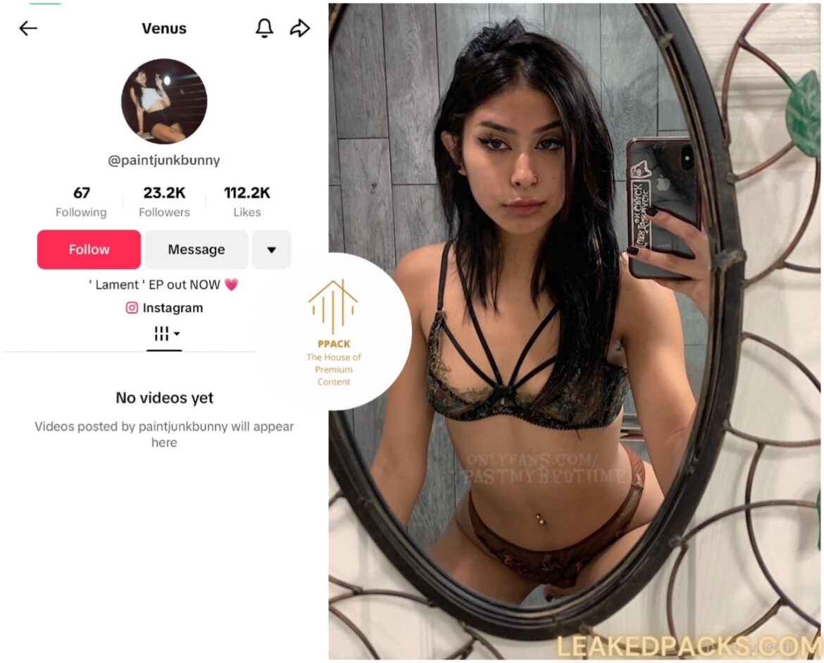 Venus-paintjunkbunny-Onlyfans-Leaked-Free-Mega-Link