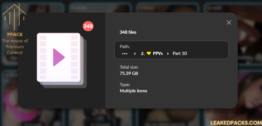 Latest-Mixed-PPVs-&-ManyVids-Pack-15